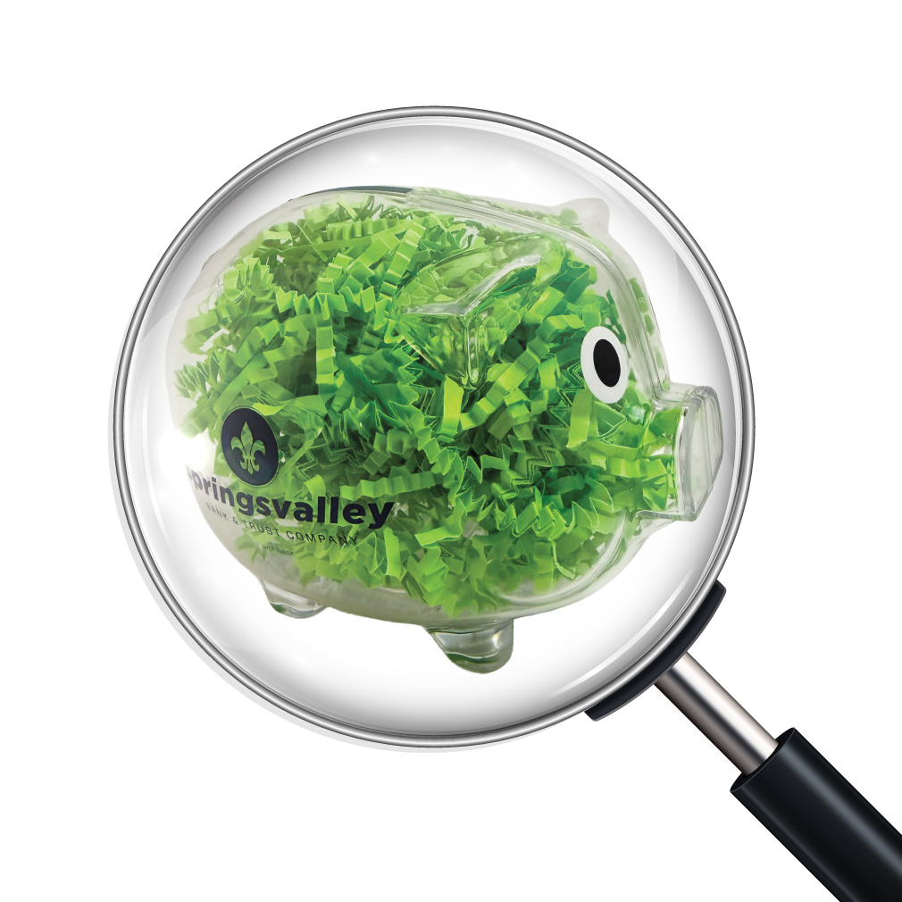 Springs valley piggy bank